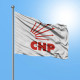 CHP Bayrağı