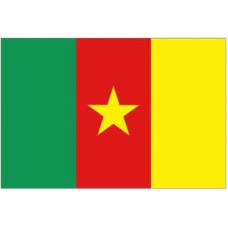 Kamerun Bayrağı