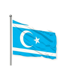 Türkmeneli Bayrağı